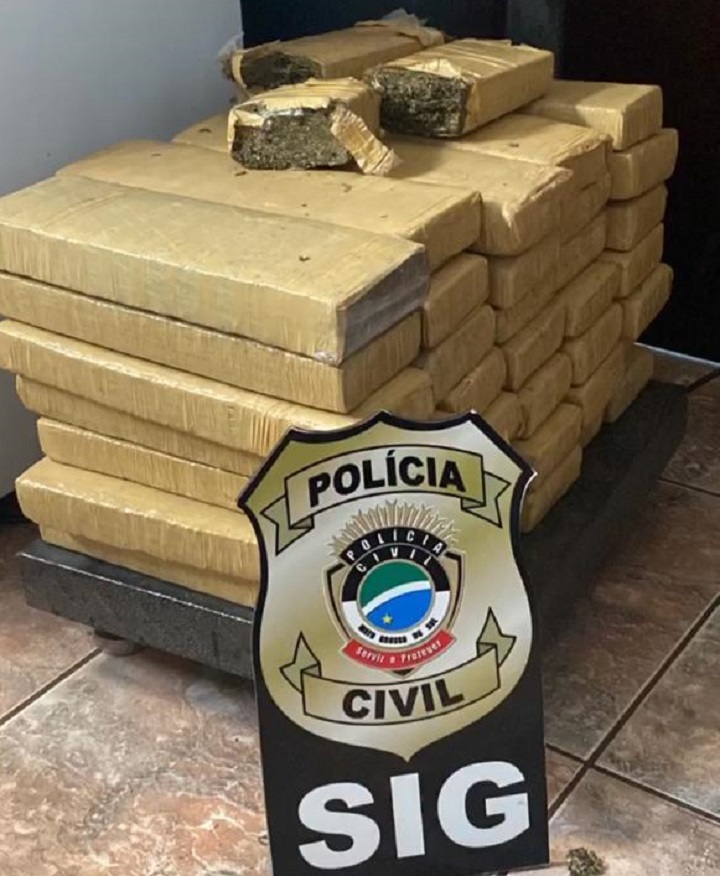 Maconha localizada na residência do Fábio - Foto: Polícia Civil/Divulgação